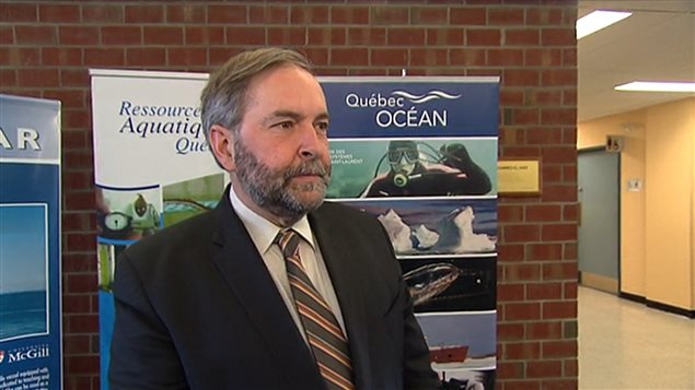 Thomas Mulcair, chef du NPD Thomas Mulcair, chef du NPD