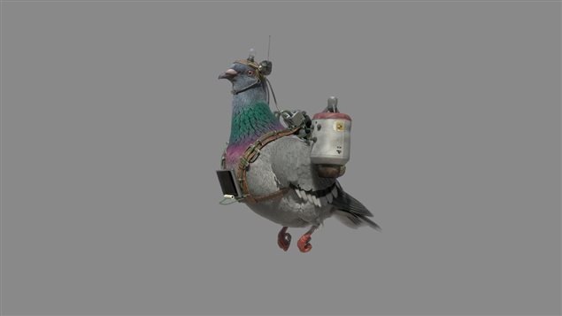 Pigeonnet