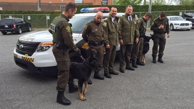 Le chien, meilleur ami de... la police! | ICI.Radio-Canada.ca Le chien, meilleur ami de... la police! | ICI.Radio-Canada.ca