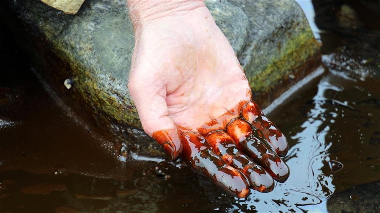 Du pétrole dans la baie de Port au Port à Terre-Neuve Du pétrole dans la baie de Port au Port à Terre-Neuve