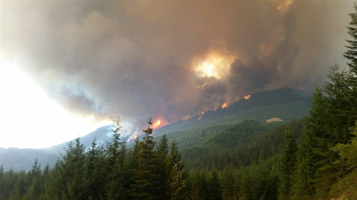 L'incendie de forêt Elaho à l'ouest de Pemberton L'incendie de forêt Elaho à l'ouest de Pemberton
