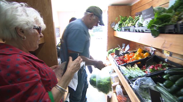 Les légumes frais sont accessibles dans la Caravane des cultures. Les légumes frais sont accessibles dans la Caravane des cultures.