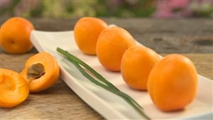 Des abricots dans une assiette