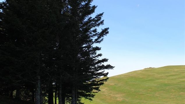 Le Trou des renards Le Trou des renards