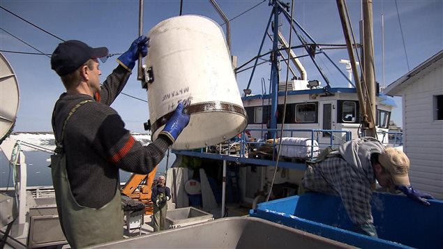 Pêcheurs au travail. Débarquement à quai. Pêcheurs au travail. Débarquement à quai.