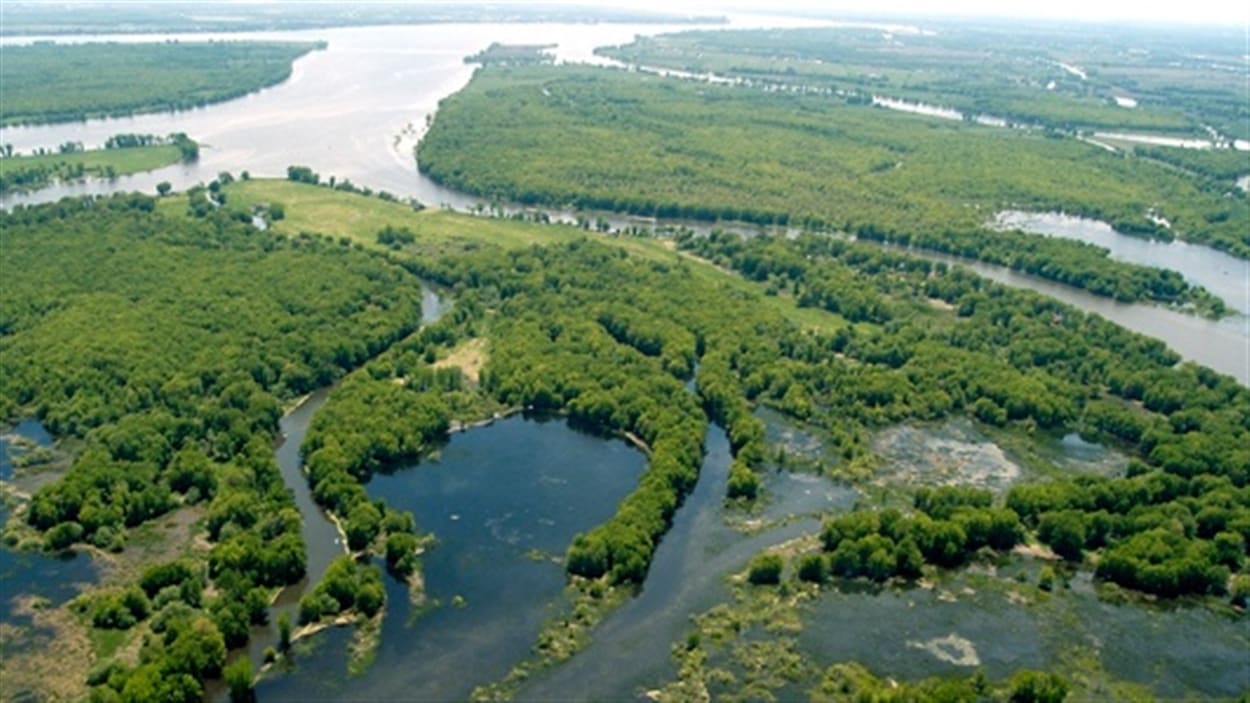 Terres riveraines du lac SaintPierre un comité pour étudier les pratiques agricoles ICI
