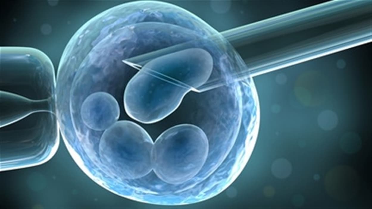 Des chercheurs québécois présenteront les résultats de leurs recherches lundi lors d’une rencontre de la Société américaine de médecine reproductive, qui se tient à Baltimore. Selon cette étude, chaque enfant né d'une femme âgée de 40 ans ou plus par des techniques de conception in vitro coûte entre 45 000$ et 100 000 $, en vertu du programme gouvernemental québécois. Claude discute de cet aspect en compagnie de la Dre Camille Sylvestre, obstétricienne gynécologue.
Des chercheurs québécois présenteront les résultats de leurs recherches lundi lors d’une rencontre de la Société américaine de médecine reproductive, qui se tient à Baltimore. Selon cette étude, chaque enfant né d'une femme âgée de 40 ans ou plus par des techniques de conception in vitro coûte entre 45 000$ et 100 000 $, en vertu du programme gouvernemental québécois. Claude discute de cet aspect en compagnie de la Dre Camille Sylvestre, obstétricienne gynécologue.