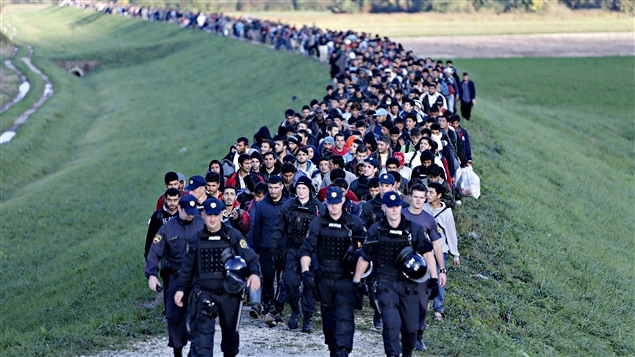 Des migrants escortés par des policiers à Brezice, en Slovénie