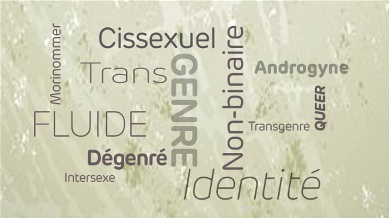 Lexique des identités sexuelles Lexique des identités sexuelles
