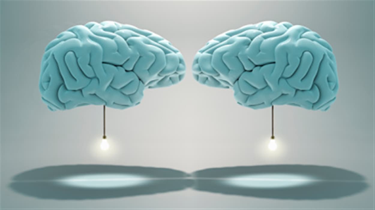 Une étude rapporte que le cerveau possède un mélange de caractéristiques masculines et féminines. Une étude rapporte que le cerveau possède un mélange de caractéristiques masculines et féminines.