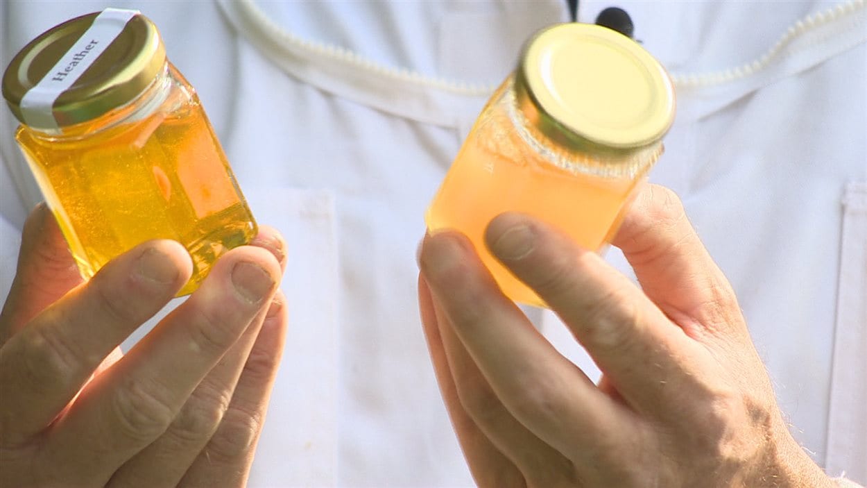 Du miel produit à Terre-Neuve Du miel produit à Terre-Neuve