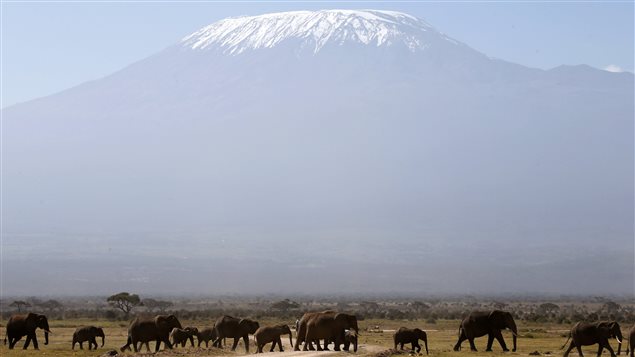 Le Kilimandjaro surplombe l'Afrique avec ses 5895 m. Le Kilimandjaro surplombe l'Afrique avec ses 5895 m.