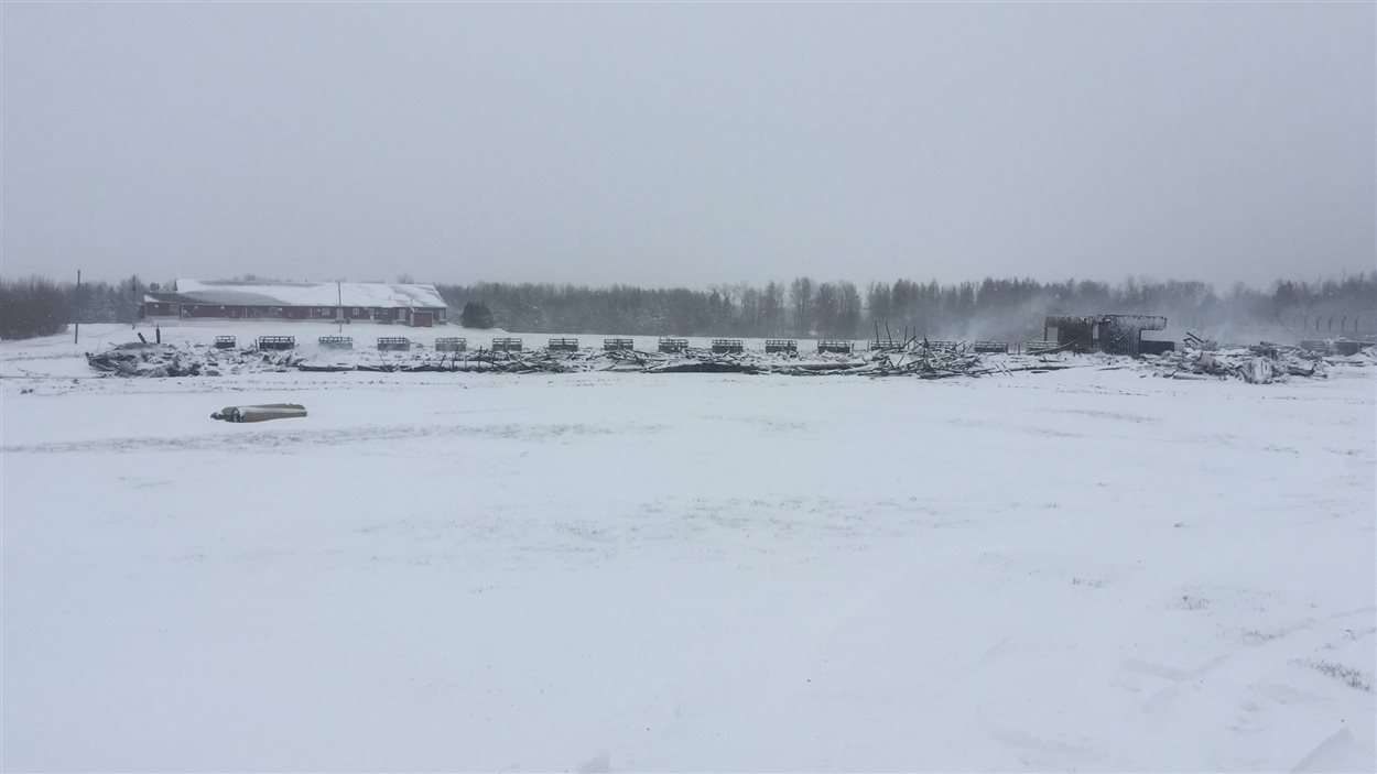 Une porcherie a été détruite par les flammes à Plessisville Une porcherie a été détruite par les flammes à Plessisville