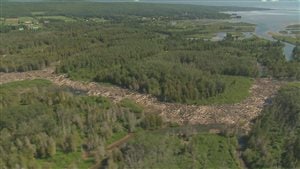 Embâcle de bois de plusieurs kilomètres sur la rivière Saint-Jean en Gaspésie.