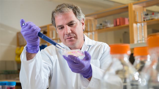 Gary Kobinger dans son laboratoire