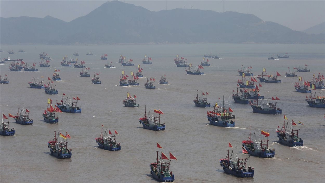 Des milliers de bateaux de pêche partent en mer le 16 septembre 2015 à Ningbo, en Chine, après un moratoire de trois mois et demi dans la mer de Chine orientale. Des milliers de bateaux de pêche partent en mer le 16 septembre 2015 à Ningbo, en Chine, après un moratoire de trois mois et demi dans la mer de Chine orientale.