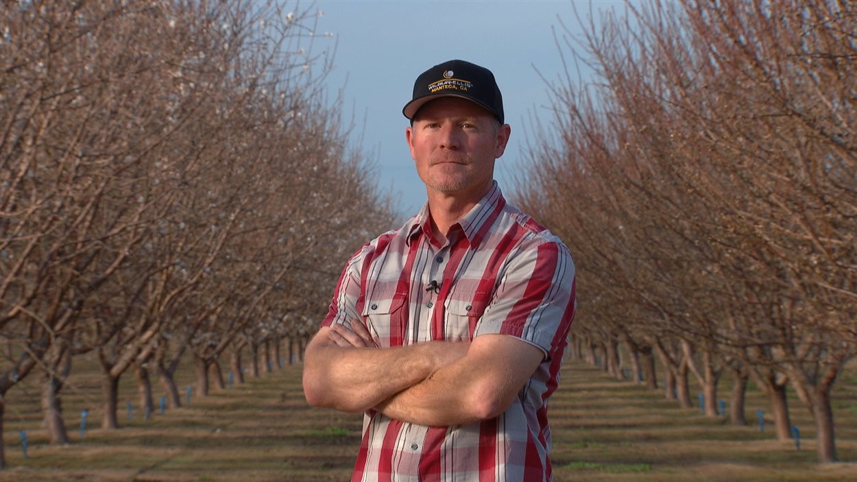 Brent Boersma est la tête d'affiche d'une culture des amandes dont la réputation est mise à mal par les critiques de l'industrie. Brent Boersma est la tête d'affiche d'une culture des amandes dont la réputation est mise à mal par les critiques de l'industrie.