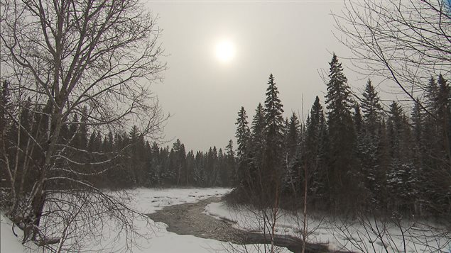 La rivière du Milieu, située à une vingtaine de kilomètres au nord-ouest de Saint-Michel-des-Saints, là où s'est produit l'accident. La rivière du Milieu, située à une vingtaine de kilomètres au nord-ouest de Saint-Michel-des-Saints, là où s'est produit l'accident.