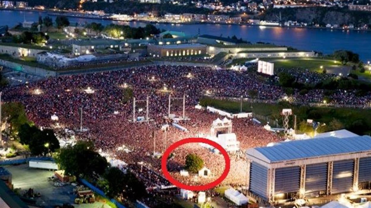 Un arbre abattu sur les Plaines à la demande du FEQ | ICI.Radio-Canada.ca