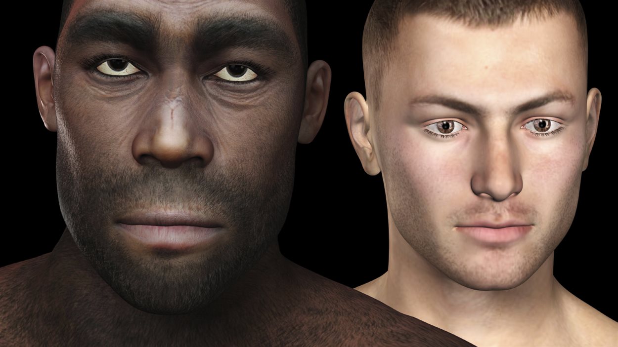Représentation d'un Homo erectus et d'un homme moderne Représentation d'un Homo erectus et d'un homme moderne
