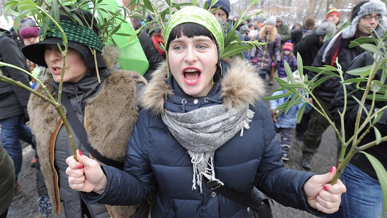Des manifestants se sont mobilisés le 17 janvier 2016 pour réclamer la protection totale de la forêt de Bialowieza, en Pologne, après que le gouvernement a annoncé une augmentation des coupes d'arbres. Des manifestants se sont mobilisés le 17 janvier 2016 pour réclamer la protection totale de la forêt de Bialowieza, en Pologne, après que le gouvernement a annoncé une augmentation des coupes d'arbres.