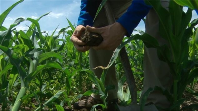 Du phosphore dans l'agriculture Du phosphore dans l'agriculture