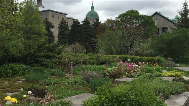 Depuis la fin des années 1860, les Religieuses Hospitalières de Saint-Joseph ont cultivé des plantes potagères et des arbres fruitiers. Depuis la fin des années 1860, les Religieuses Hospitalières de Saint-Joseph ont cultivé des plantes potagères et des arbres fruitiers.