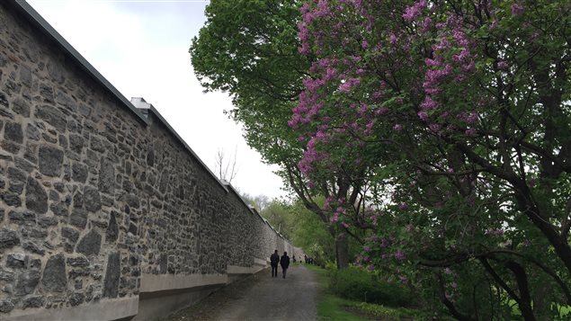Derrière les murs de pierre, on trouve un domaine privé immense à l'ombre de l'Hôtel-Dieu. Les jardins et les vergers seront ouverts au public. La Ville, qui annonce son intention d'acquérir la propriété, permettra au public d'y venir, mais en respectant la quiétude des lieux : il y a peu de chance qu'on retrouve les tam-tams du Mont-Royal sous les pommiers des Hospitalières de Saint-Joseph. Derrière les murs de pierre, on trouve un domaine privé immense à l'ombre de l'Hôtel-Dieu. Les jardins et les vergers seront ouverts au public. La Ville, qui annonce son intention d'acquérir la propriété, permettra au public d'y venir, mais en respectant la quiétude des lieux : il y a peu de chance qu'on retrouve les tam-tams du Mont-Royal sous les pommiers des Hospitalières de Saint-Joseph.