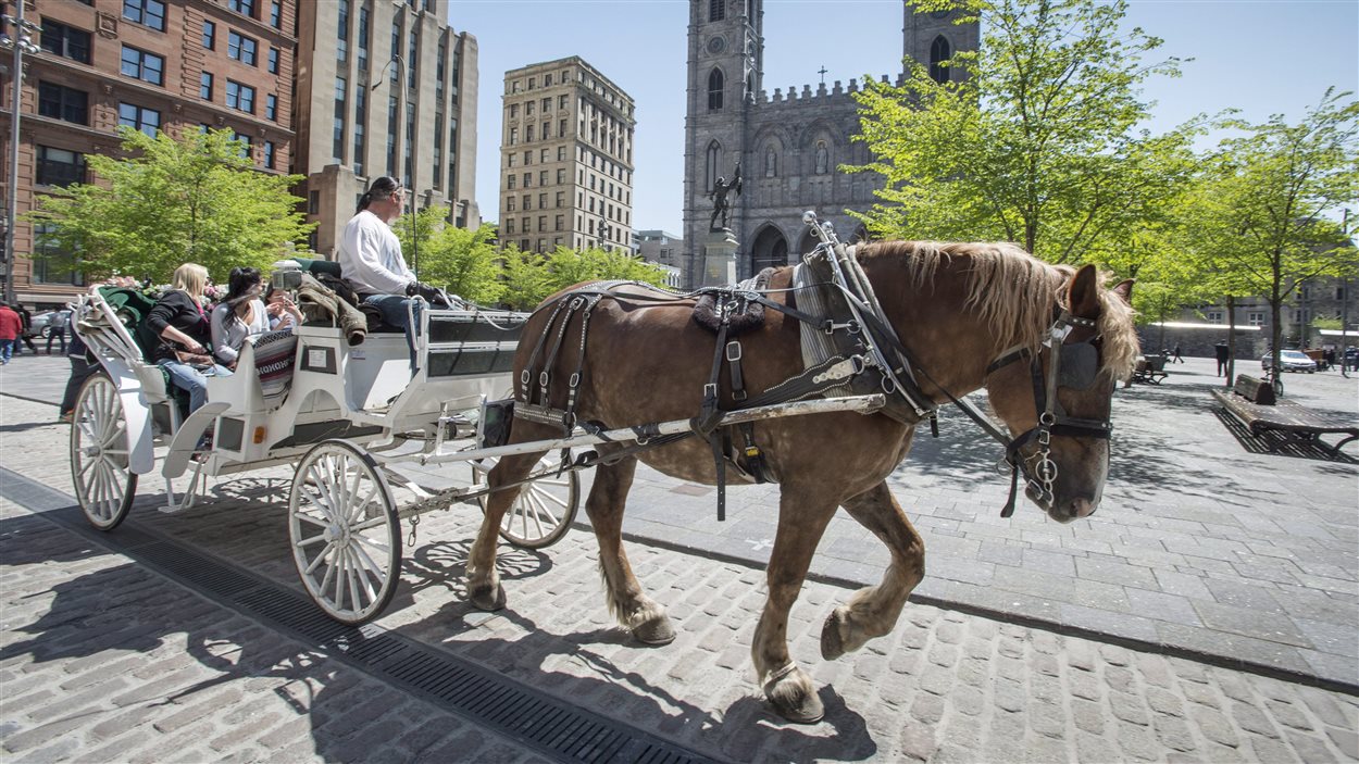 Des touristes admirent la Basilique Notre-Dame en faisant un tour de calèche. Des touristes admirent la Basilique Notre-Dame en faisant un tour de calèche.