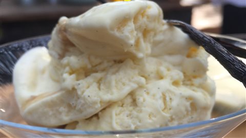 Crème glacée à la vanille maison