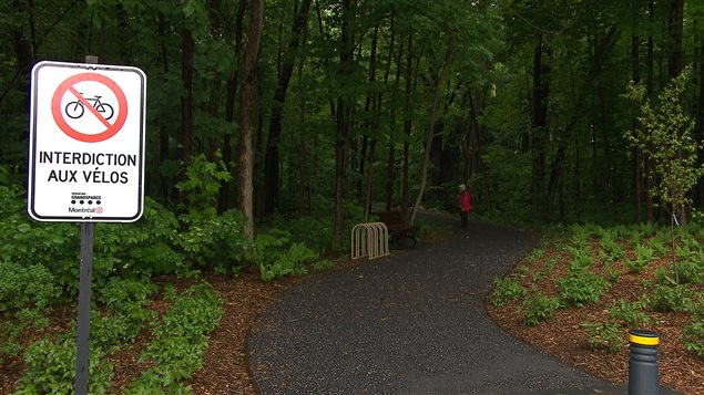 Le parc-nature du Bois-de-Saraguay n'est pas ouvert aux cyclistes, pour protéger la biodiversité du boisé. Le parc-nature du Bois-de-Saraguay n'est pas ouvert aux cyclistes, pour protéger la biodiversité du boisé.