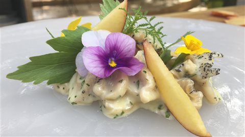 Bourgots mayonnaise, pêche, raifort et livèche Bourgots mayonnaise, pêche, raifort et livèche