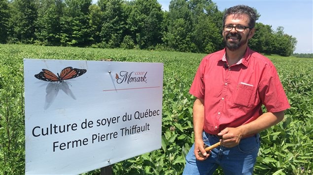 Daniel Allard, président de la Coopérative Monark devant les champs d'un des membres de son organisation à Saint-Tite. Daniel Allard, président de la Coopérative Monark devant les champs d'un des membres de son organisation à Saint-Tite.