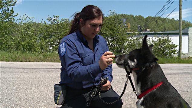 Une intervenante en comportement canin arrive en renfort à Une intervenante en comportement canin arrive en renfort à
