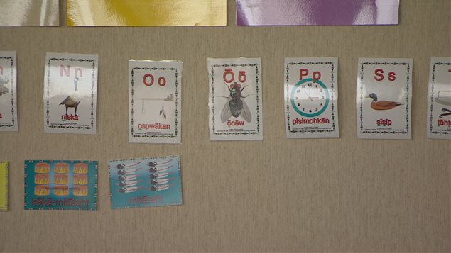 Affiches avec des images et des mots écrits en langue crie sur un mur Affiches avec des images et des mots écrits en langue crie sur un mur