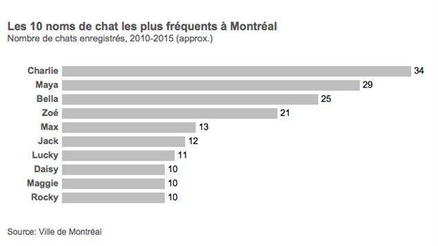 Votre Chien Ou Votre Chat A T Il Un Nom Original Radio Canada Ca
