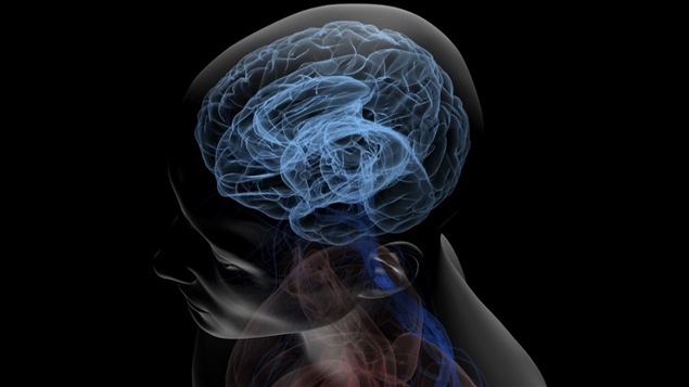 Le cerveau humain recèle encore bien des secrets. Le cerveau humain recèle encore bien des secrets.