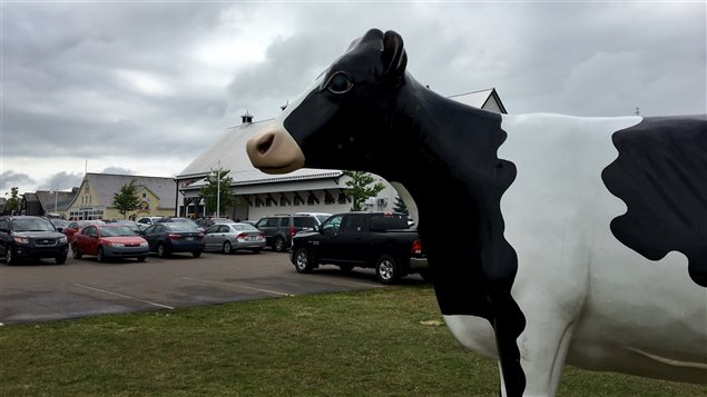 Pour bien des visiteurs à l'Île-du-Prince-Édouard, l'usine de Cows Creamery est presque un arrêt obligatoire. Pour bien des visiteurs à l'Île-du-Prince-Édouard, l'usine de Cows Creamery est presque un arrêt obligatoire.