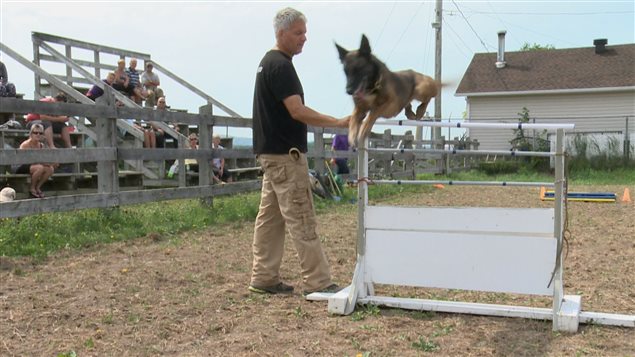 Un parcours de ring français, un sport canin Un parcours de ring français, un sport canin