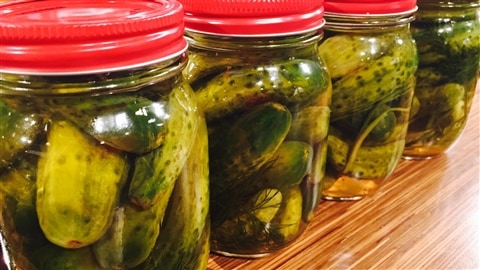 Cornichons au vinaigre en pot Cornichons au vinaigre en pot