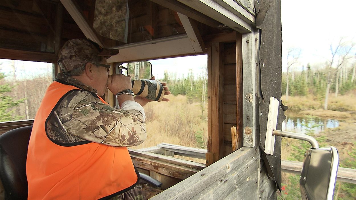 Des milliers de chasseurs dans les forêts de l'Abitibi Des milliers de chasseurs dans les forêts de l'Abitibi