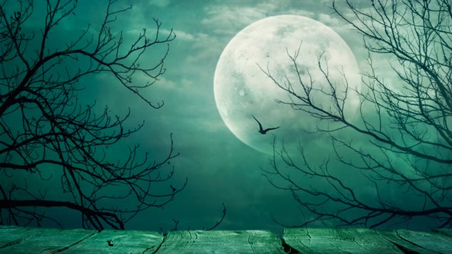 Lune Lune