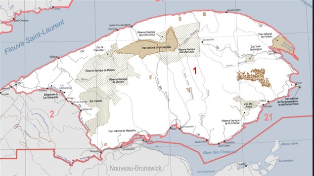 Des milliers de chasseurs à l'assaut de l'orignal | ICI.Radio-Canada.ca