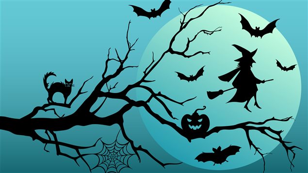Halloween Halloween