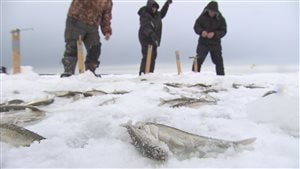 Pêche blanche à l'éperlan à l'embouchure de la rivière Rimouski.